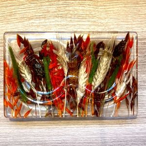 ♥️HP♥️Riccardo Marzi acrylic resin lucite dish wheat grass